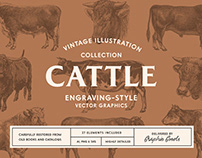 Cattle – Vintage Illustration Set