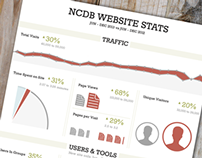 Website Stats Infographic
