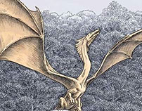 Fantasy Dragon Illustrations