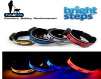 Fab4Pets Bright Steps™