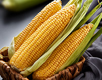 Corn Food Photography
