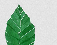 the Happy Tree project - Illustrated leaves