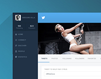 Twitter - Redesign of UI details