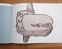 Sunfish infographic picture book
