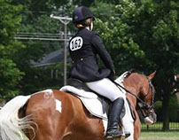 Arabian Horse Assoc. of New England - 2013 Sport Horse