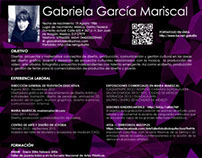 CV // GABRIELA GARCIA MARISCAL
