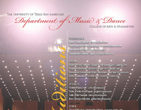 2011 Fine Arts Audition Poster