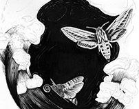 Migration - Moth Trilogy