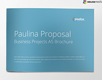 Proposal Brochure