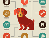 Dogs infographic