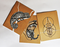 Illustrated Journals