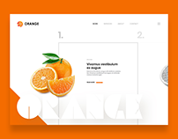 Orange / White Themed Website Design