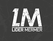 Lider Mermer Logo