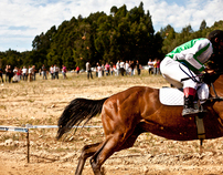 horse racing / Esmoriz 2011