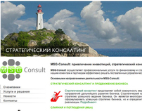 MSG Consulting web-site