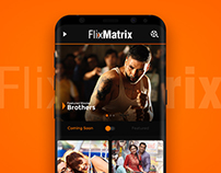 FlixMatrix - movie streaming experience