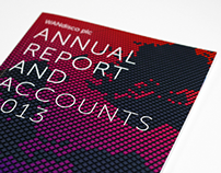 WANdisco Annual Report 2013