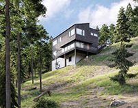 Slope house among the evergreens