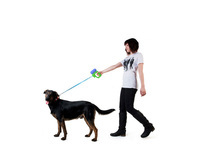 A redesign of Dog leash gun