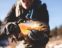 Fly Fishing in the South Platte 