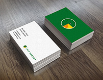 Fly Parrot - Eco Travel Branding Project