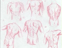 125 Male Torso Sketch Challenge