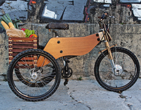 RAIOOO - Electric Wooden Tricycle