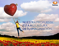 Televisa Ventas - Campaña 2013