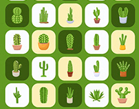 50 Cactus Illustrations