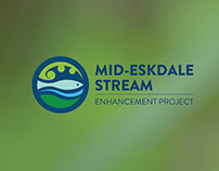 Mid-Eskdale Stream