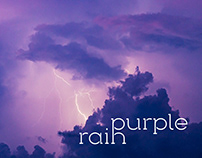 purple rain Logo Study