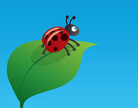 Garden Bugs - Illustration