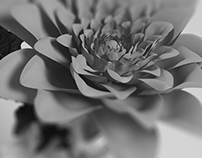 Flowers modeling (3dmax)