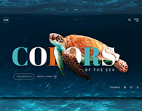 Colors of the sea - landing page concept