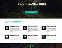 One Page Adobe Muse Template 