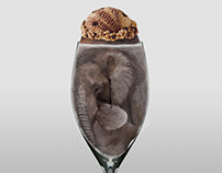 Elephant ice cream