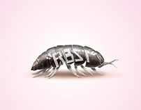 Bug Bytes : Roly Poly…