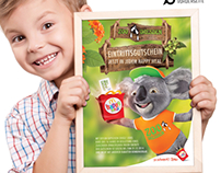Koala für Dresdener Zoo