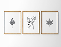 Symbols of Québec - Natural illustrations