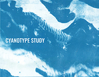 Cyanotype Study