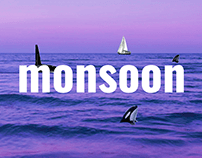 Концепция дизайна сайта для «monsoon»