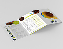 Zeta Semillas - Flyer y Brochure