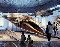 Competition 1st award | Natural History Museum