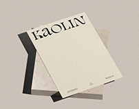Kaolin — Branding