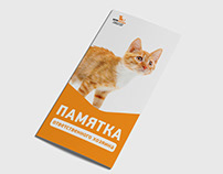 Дизайн евробуклета для Adoption центра для кошек
