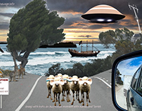 Sheep with hats - an Australian moment