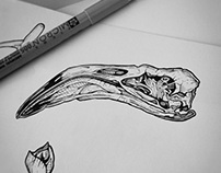 tattoo projects : animal skulls