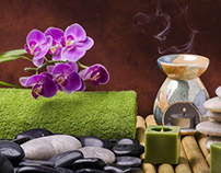 hoc nghe spa