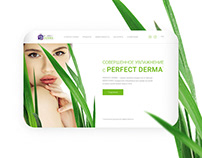 Perfect Derma / one page