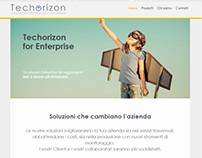 Techorizon Enterprise